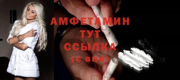 гидра Анива
